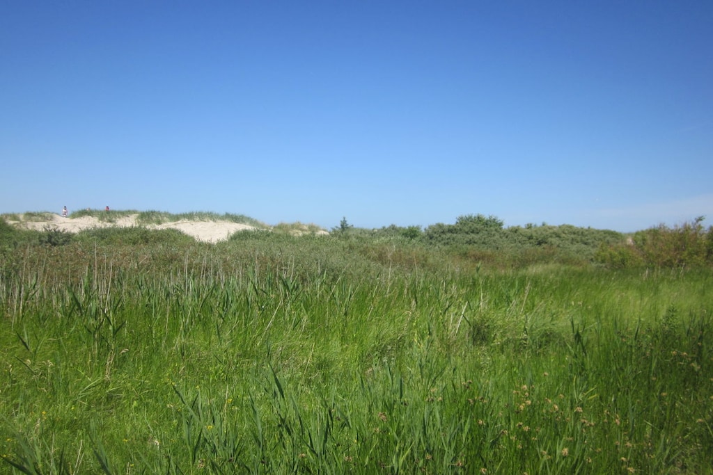 175866 - Niet-getagd