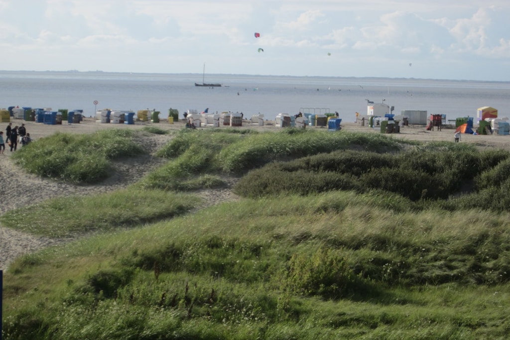 175866 - Niet-getagd