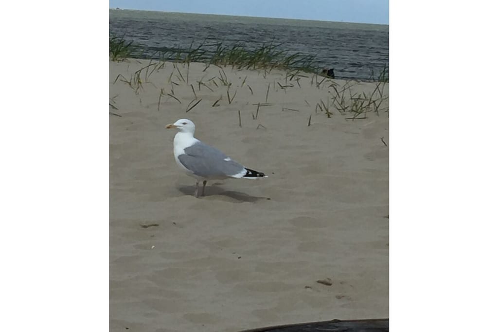 83175 - Niet-getagd