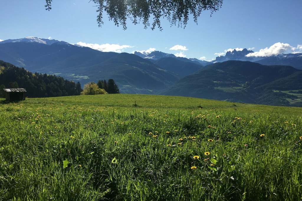 467374 - Niet-getagd