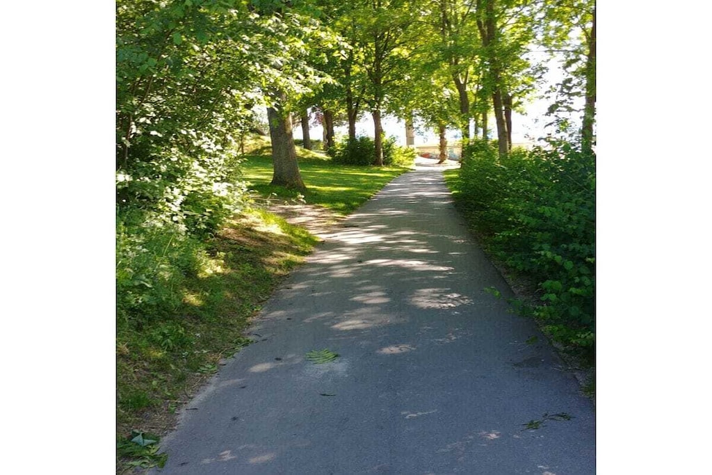 298584 - Niet-getagd