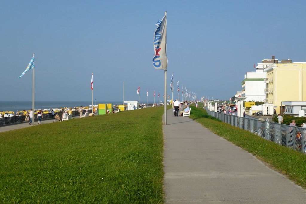 47331 - Niet-getagd