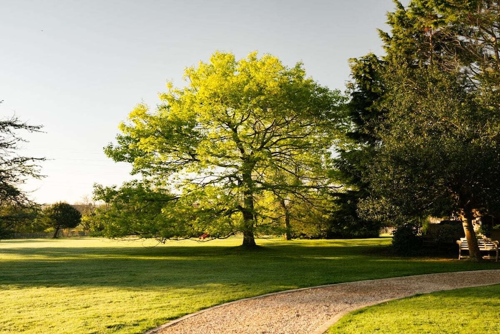 267533 - Nicht zugeordnet