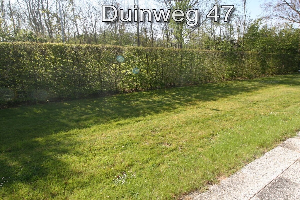 87142 - Niet-getagd
