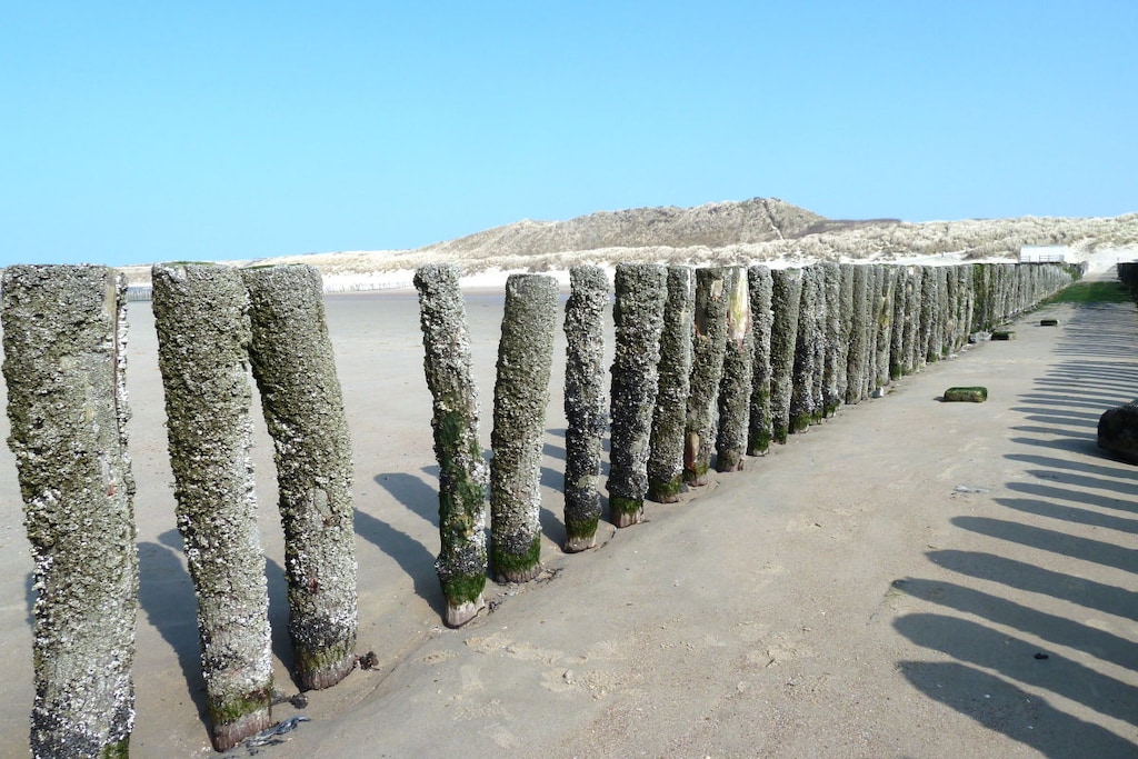 87142 - Niet-getagd