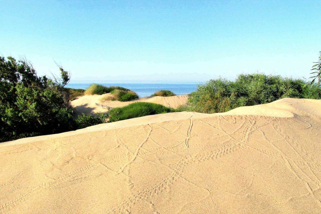 259572 - Niet-getagd
