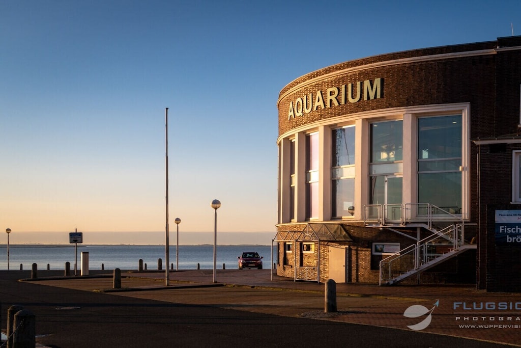 629607 - Niet-getagd
