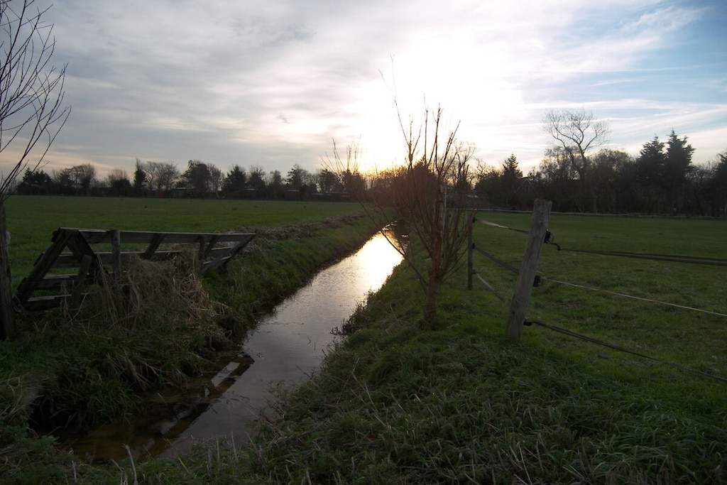 52300 - Niet-getagd