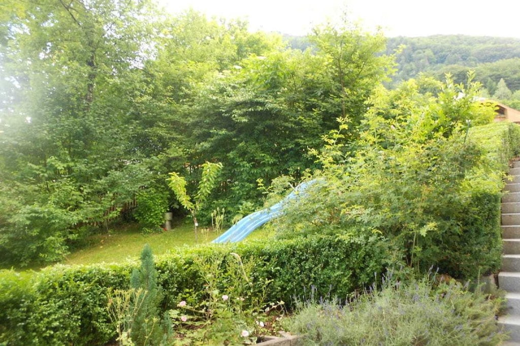 65005 - Nicht zugeordnet