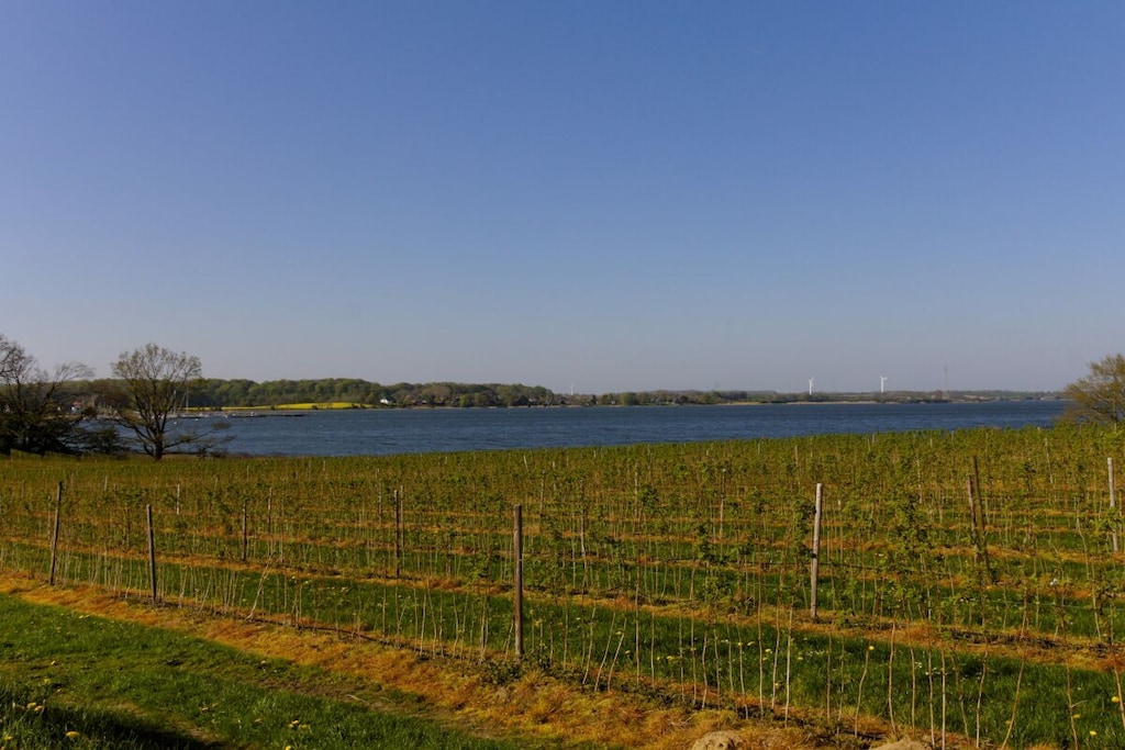 339314 - Niet-getagd