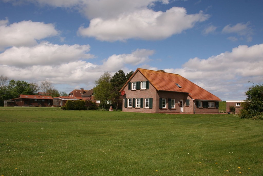 80165 - Niet-getagd