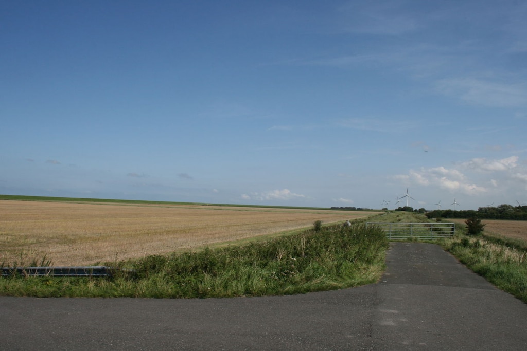 80165 - Niet-getagd