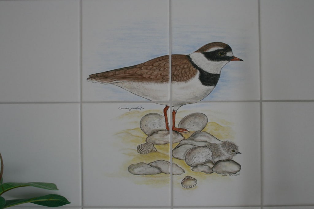 45758 - Niet-getagd