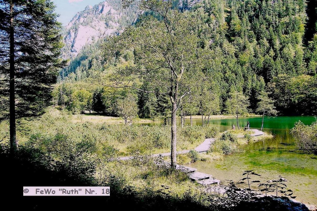 474906 - Nicht zugeordnet