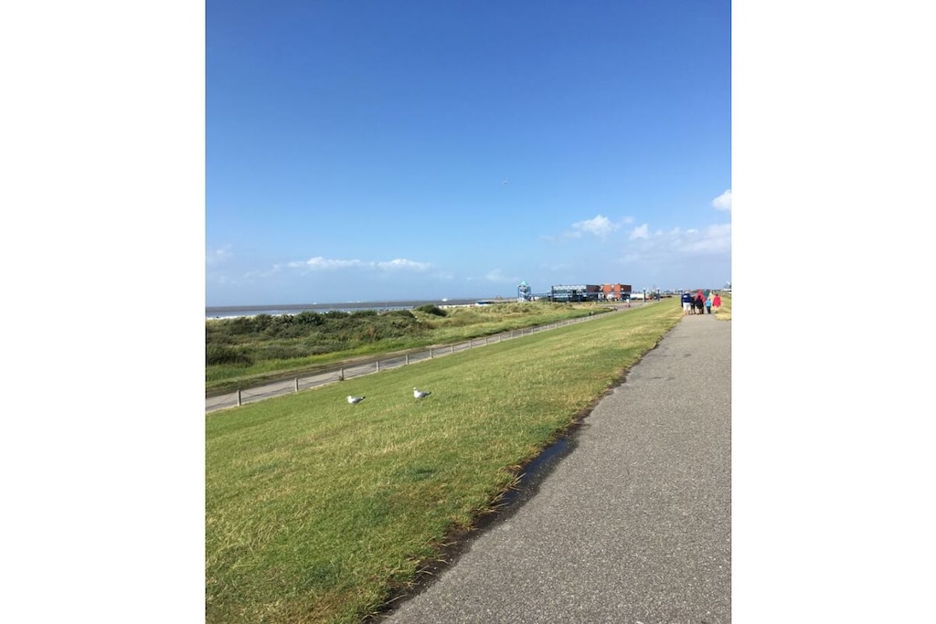 278529 - Niet-getagd