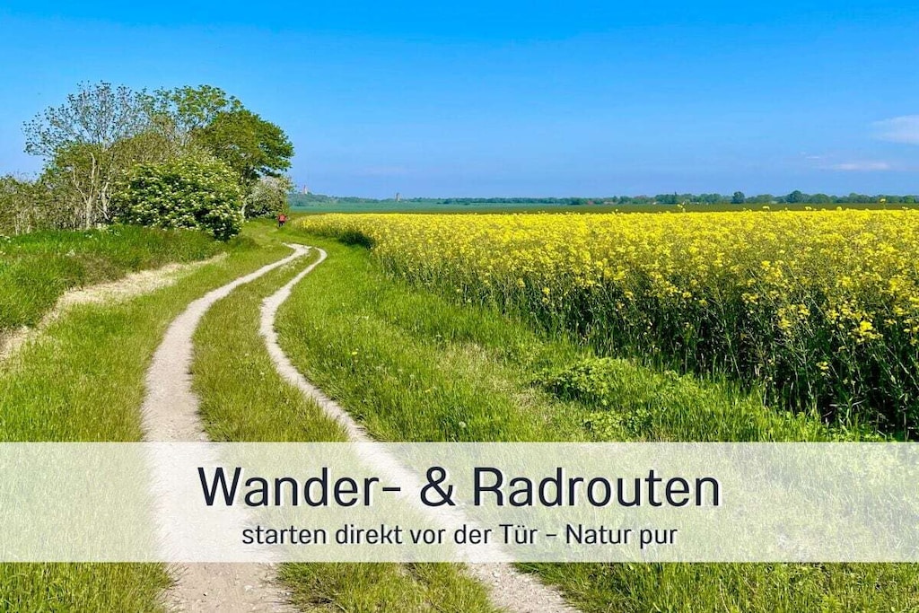 290936 - Niet-getagd