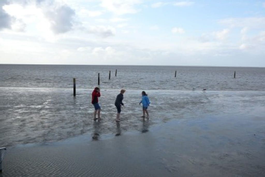 68890 - Niet-getagd