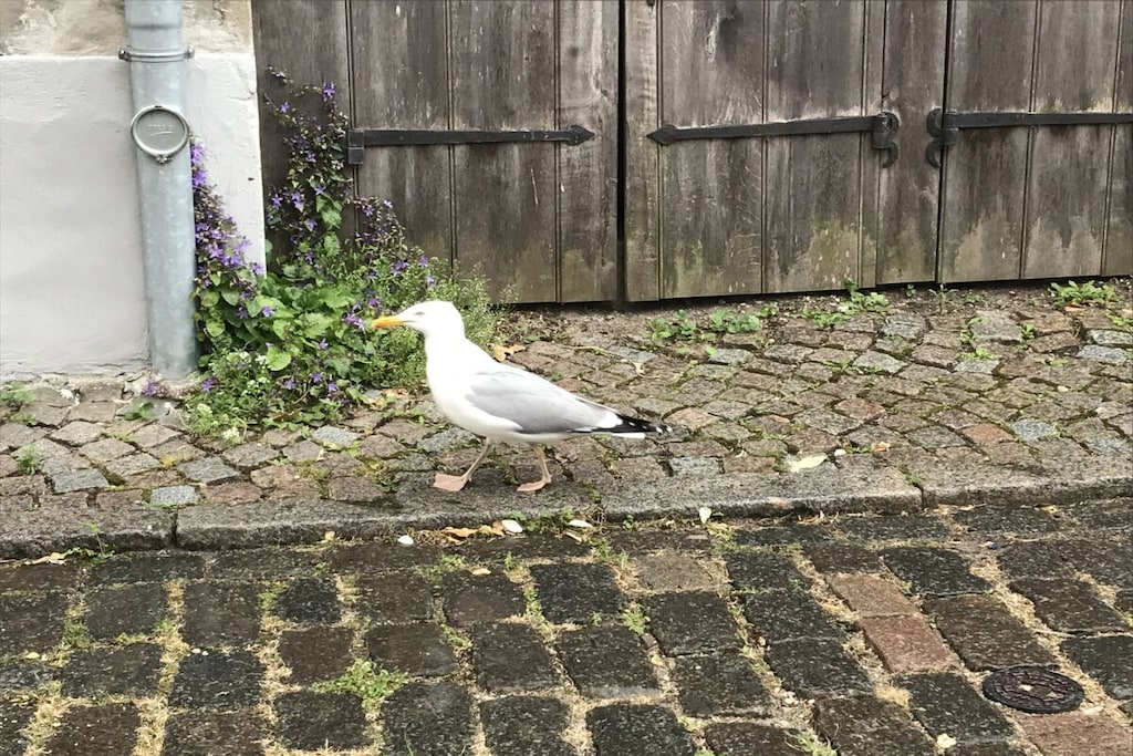 200248 - Niet-getagd