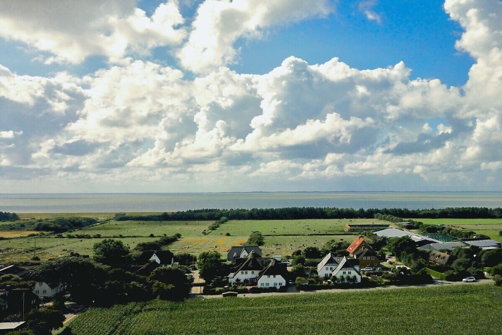 381781 - Niet-getagd