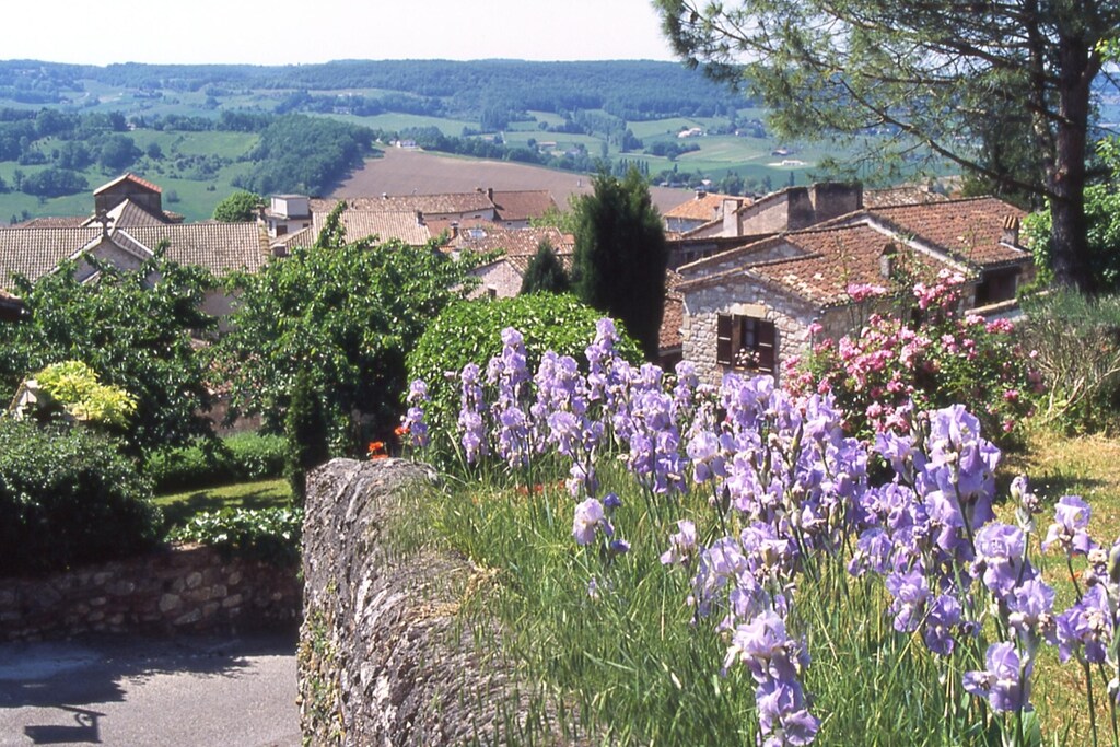 Picture of property.name