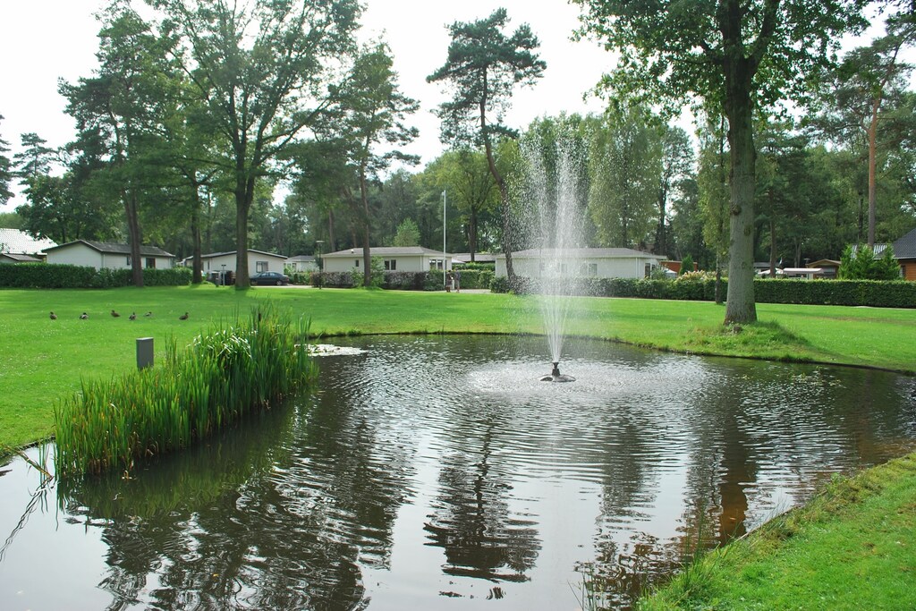 Park foto