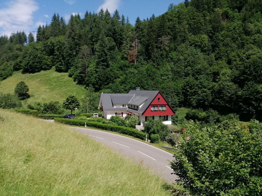 Landhaus Bächle Ferienwohnung in Europa