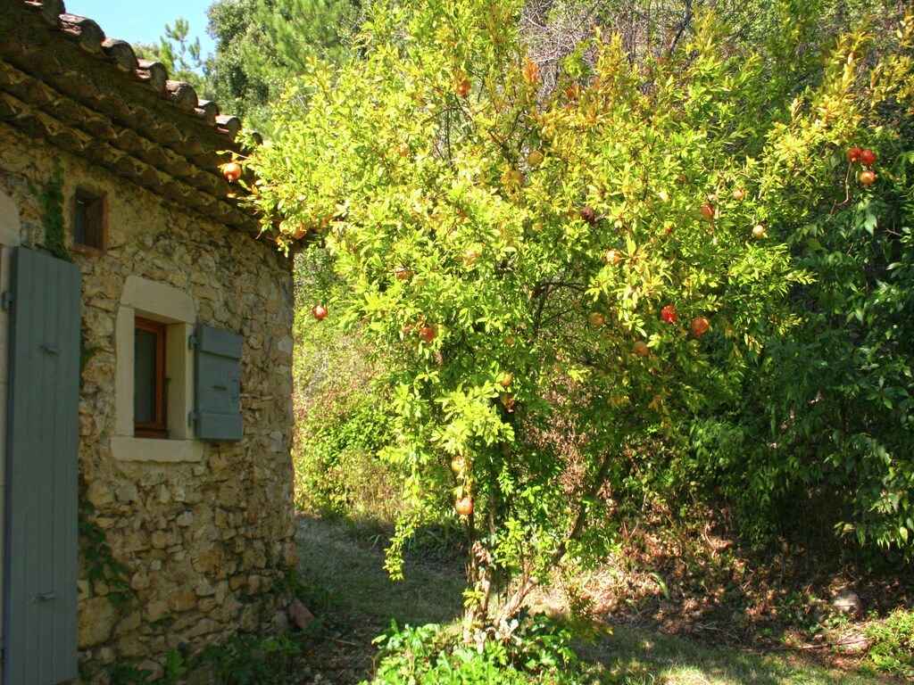Bild 25 Bild 25