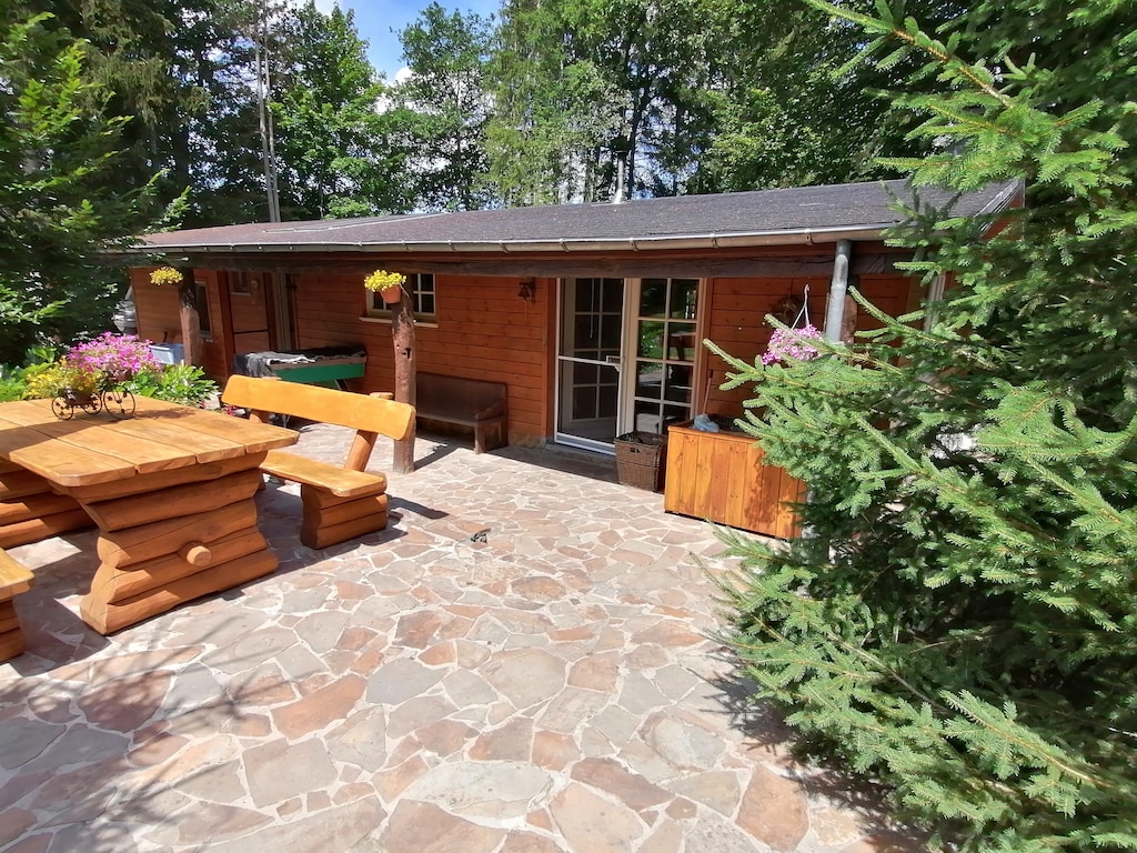 Chalet in Wibrin met privי visvijver