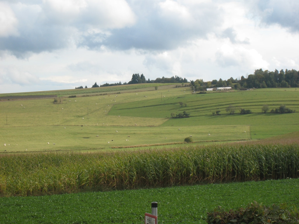 Bild 19