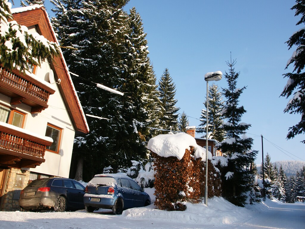Bild 1 Bild 1