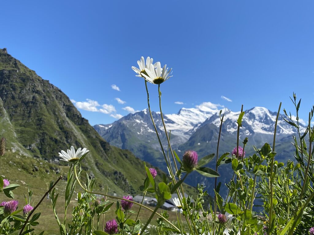 Ferienwohnung Ariana (863469), Mayens-de-Riddes, 4 Vallées, Wallis, Schweiz, Bild 15
