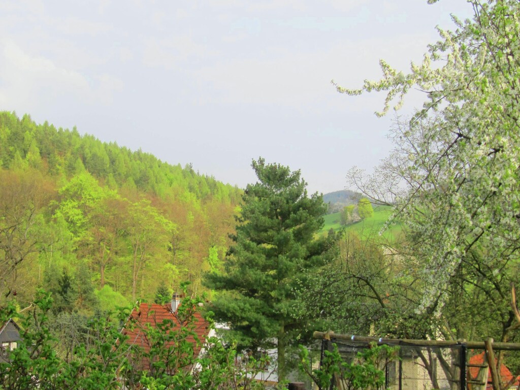 Bild 8 Bild 8