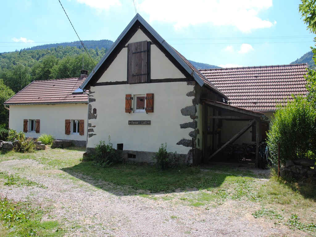 Bild 5 Bild 5