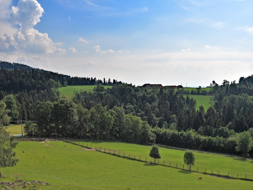 Bild 10 Bild 10