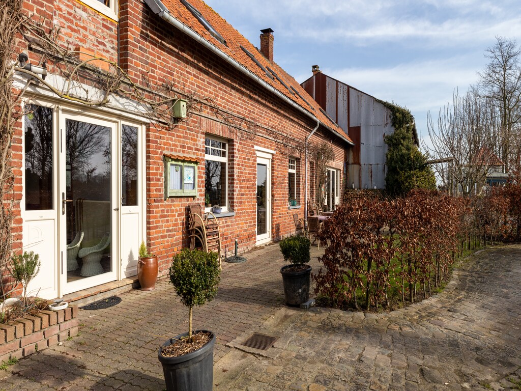 Bild 5 Bild 5