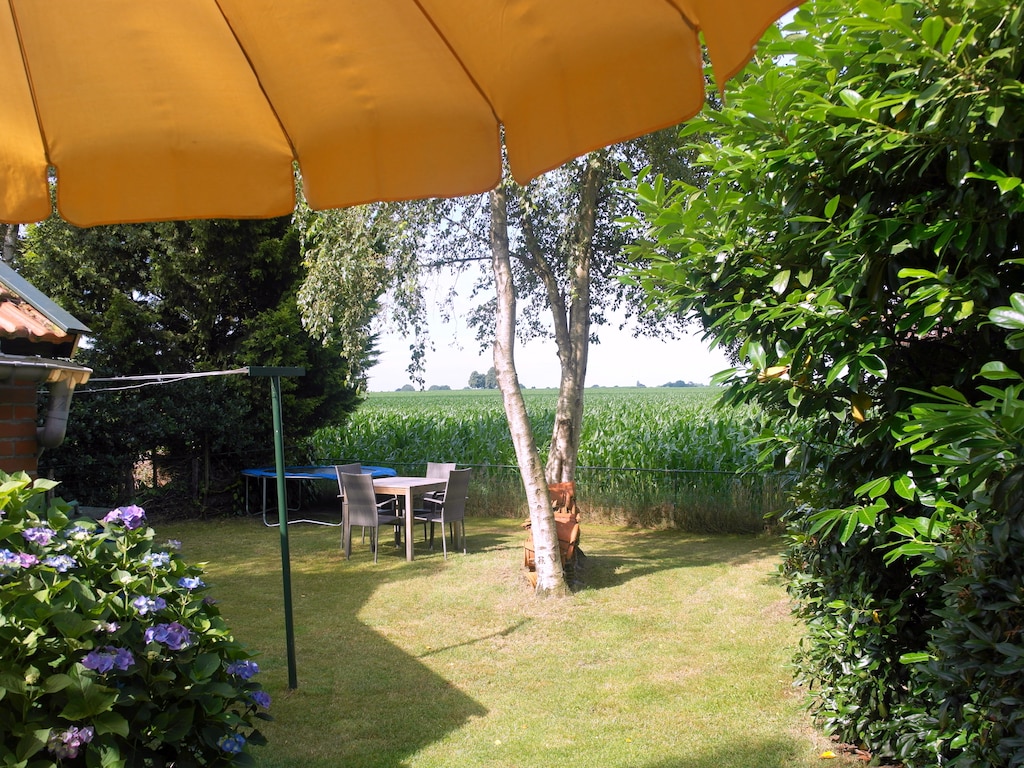 Bild 4 Bild 4