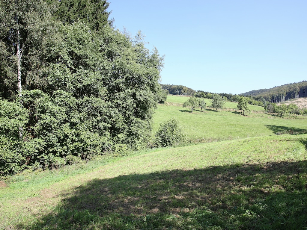 Bild 5 Bild 5