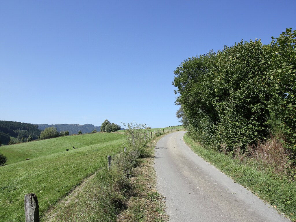 Bild 16 Bild 16