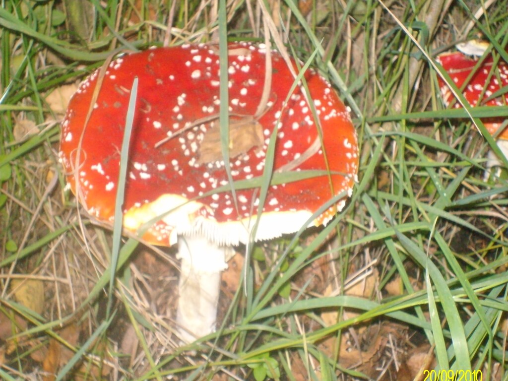 Bild 9 Bild 9