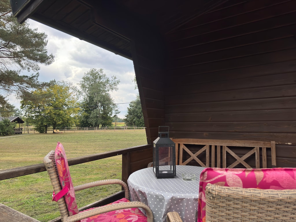 Vakantiehuis met terras in Eschede