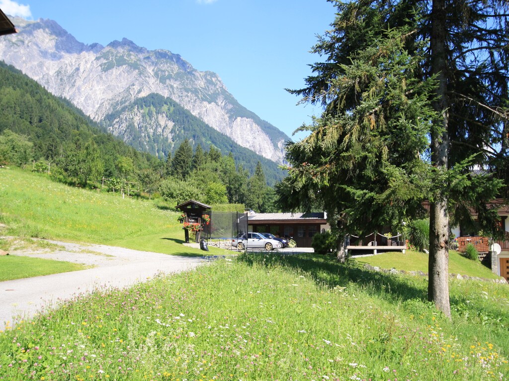 Bild 8 Bild 8