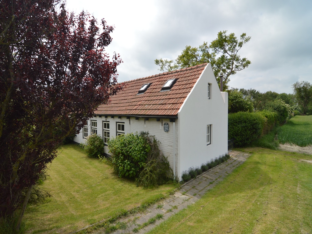 Bild 7 Bild 7