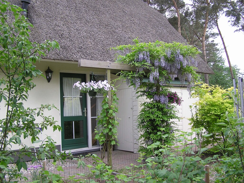 Bild 21 Bild 21