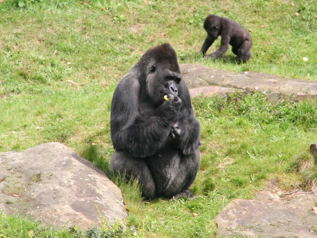 Bild 24 Bild 24