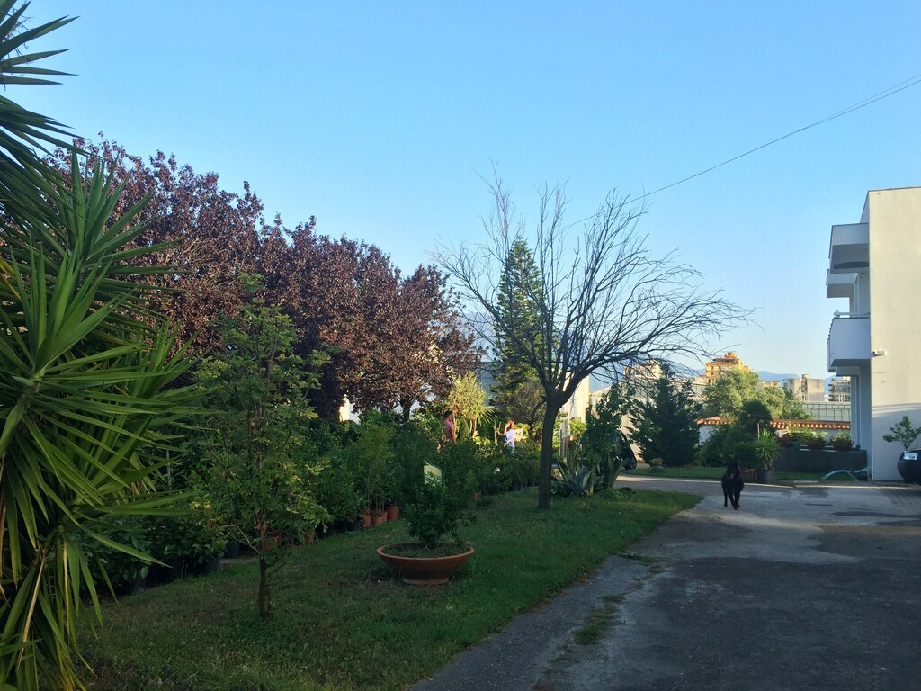 Bild 11