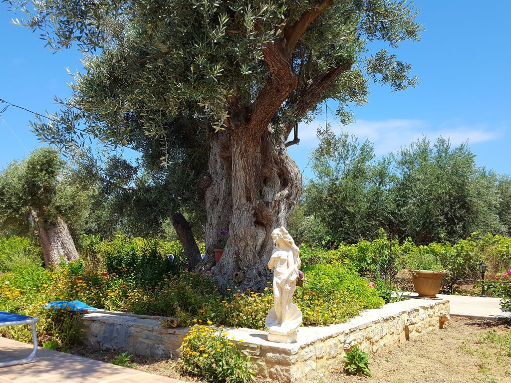 Ferienhaus Villa Estia (975964), Rethymno, Kreta Nordküste, Kreta, Griechenland, Bild 33