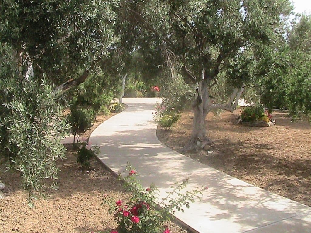 Ferienhaus Villa Afroditi (975967), Rethymno, Kreta Nordküste, Kreta, Griechenland, Bild 25