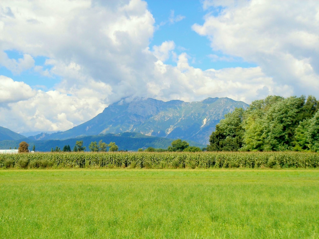 Bild 3 Bild 3