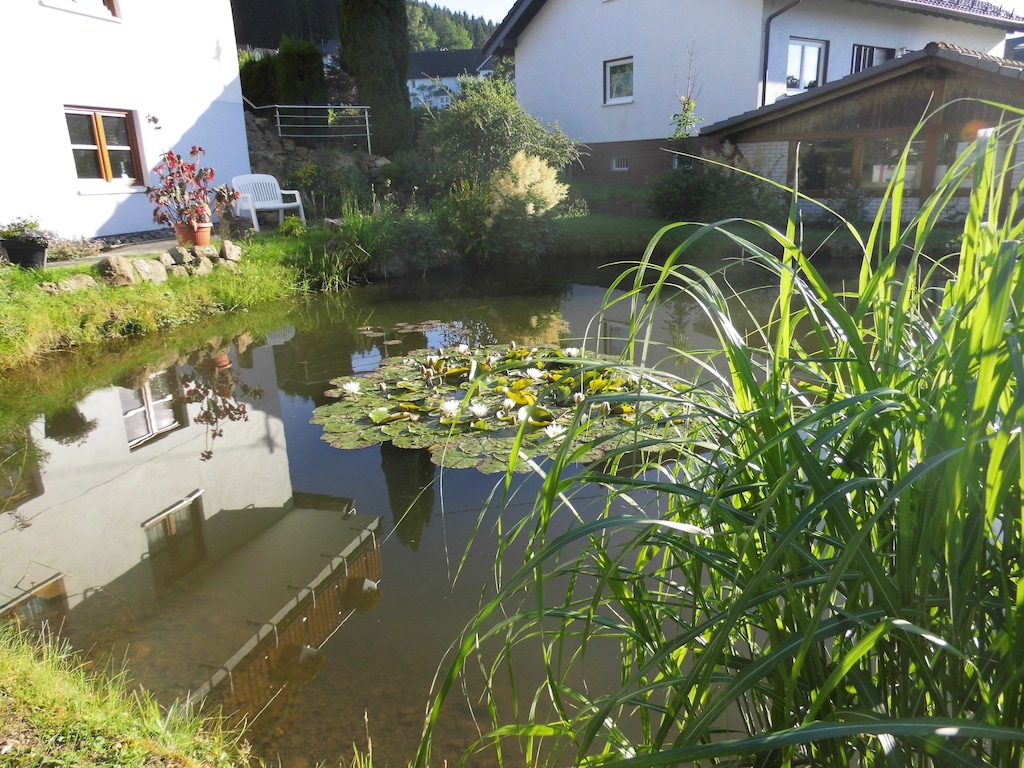 Bild 14 Bild 14
