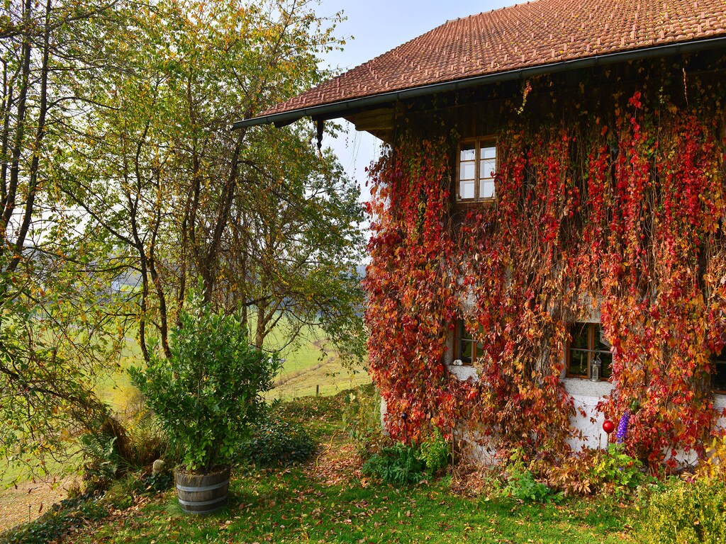 Bild 14 Bild 14